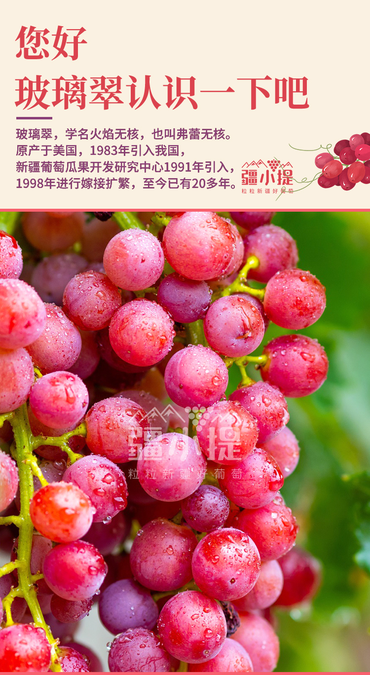 玻璃翠新_02.jpg