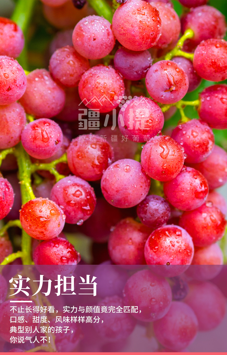 玻璃翠新_05.jpg