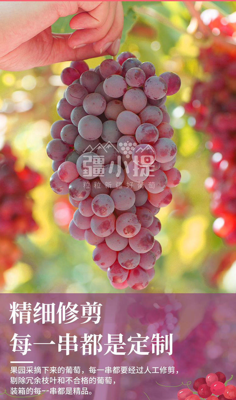 玻璃翠新_12.jpg