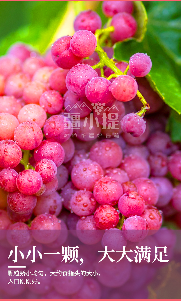 玻璃翠新_10.jpg