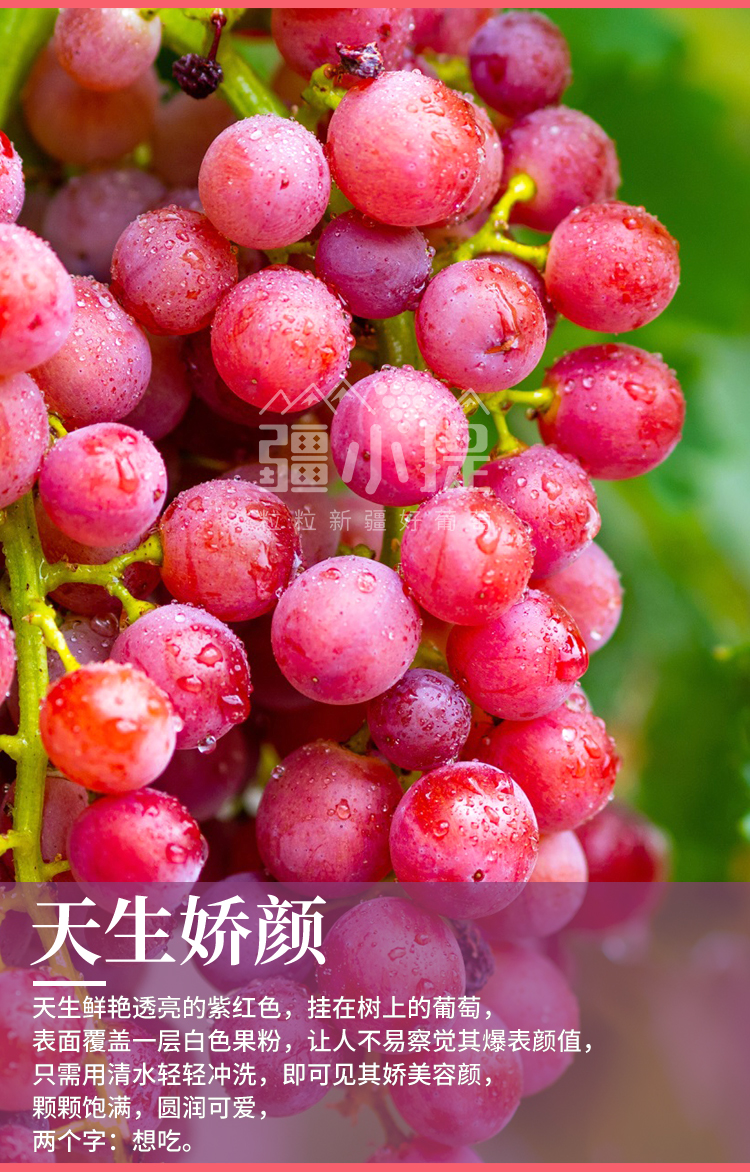 玻璃翠新_04.jpg