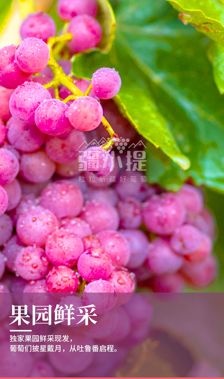 玻璃翠新_11.jpg