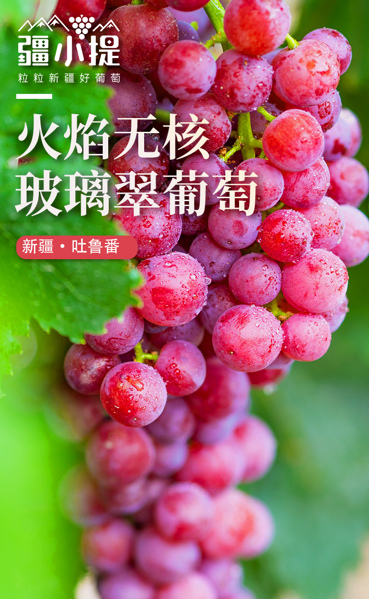 玻璃翠新_01.jpg