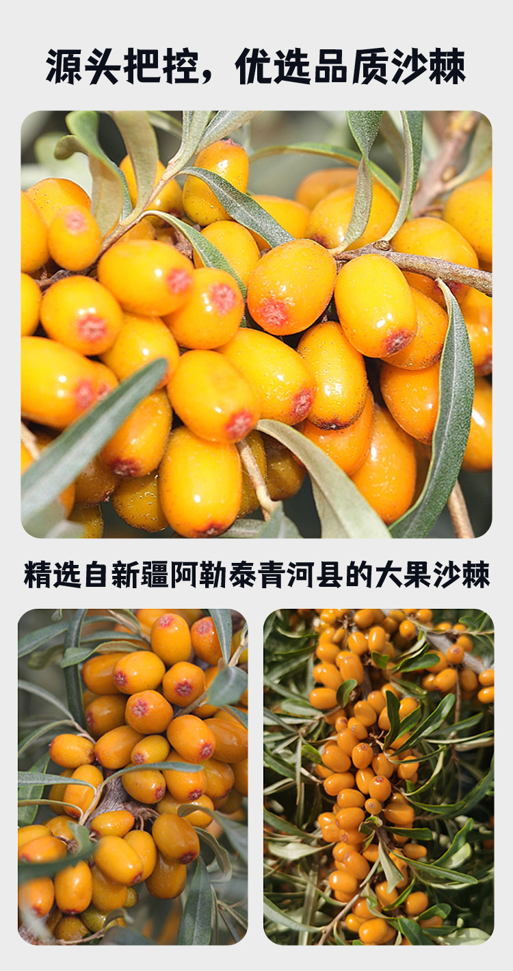 6103abc92613f.png